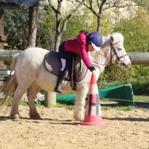 Cours de poney en centre équestre Hérault proche St Guilhem le Désert