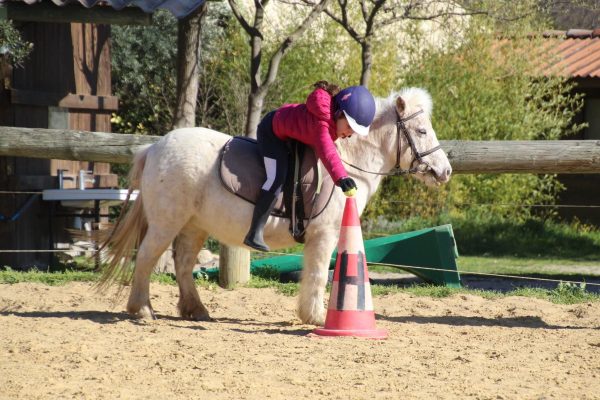 Cours de poney en centre équestre Hérault proche St Guilhem le Désert