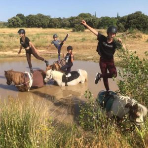 Voir l'équitation autrement au Clos d'Alice Centre Equestre Hérault proche St Guilhem le Désert